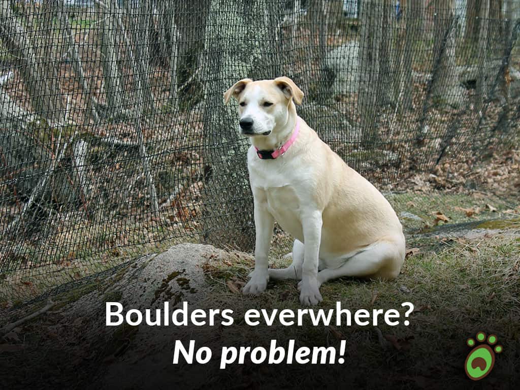 boulder dog fence