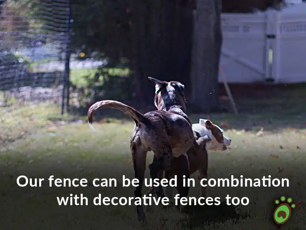 decorative fence dog fence