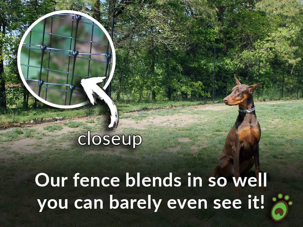 dobermen blend dog fence