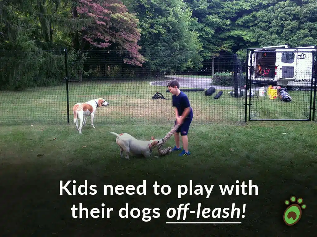 kid play with dog off leash fence