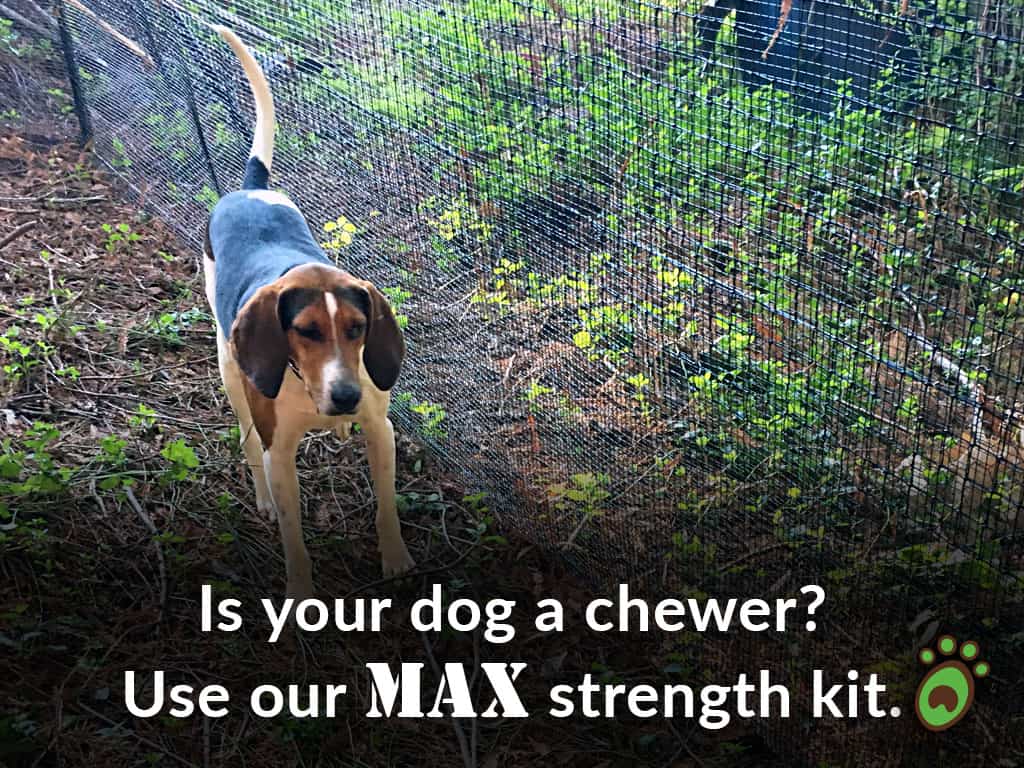 max strength beagle dog fence