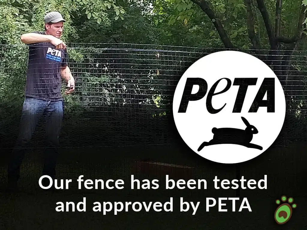 peta tested approved dog fence