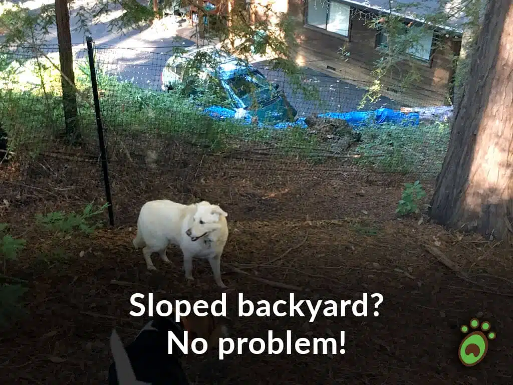 sloped backyard