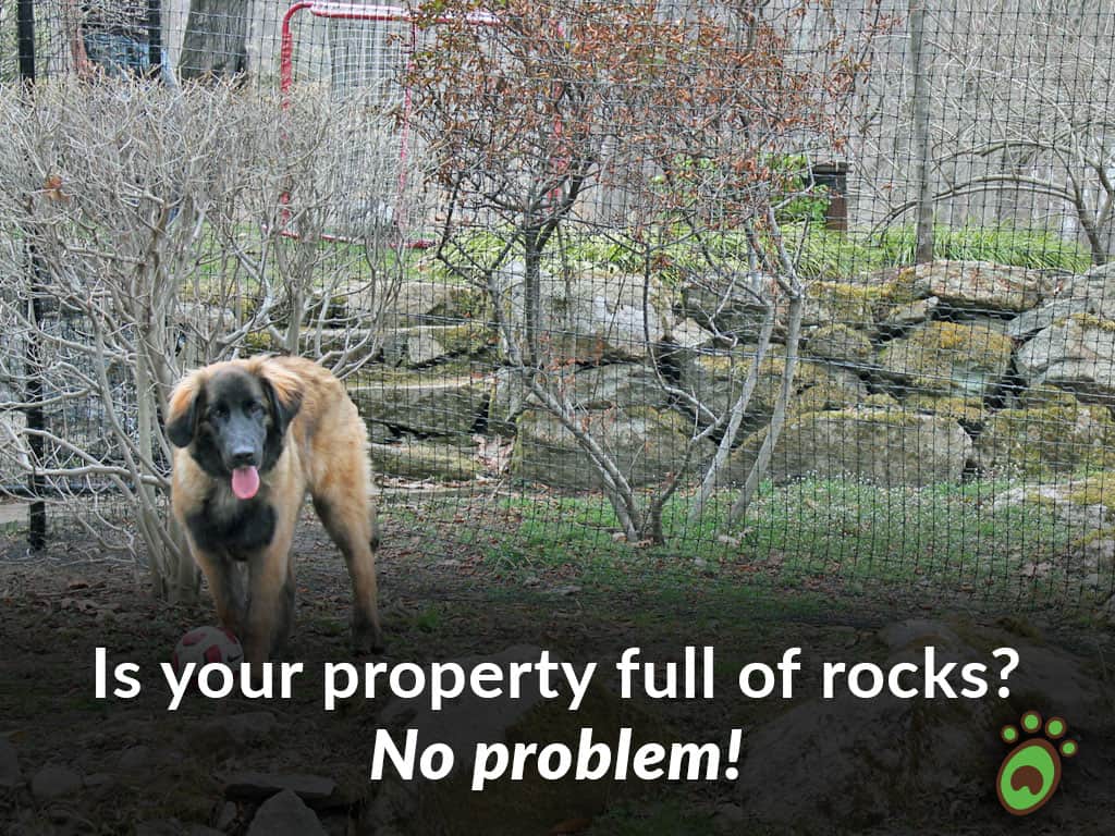 yellow black soccer ball dog fence