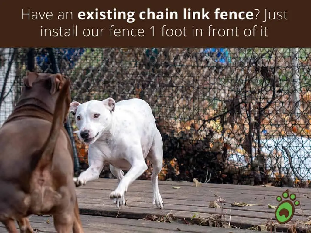 chain-link-fence