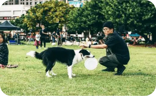 Dog getting enough exercise