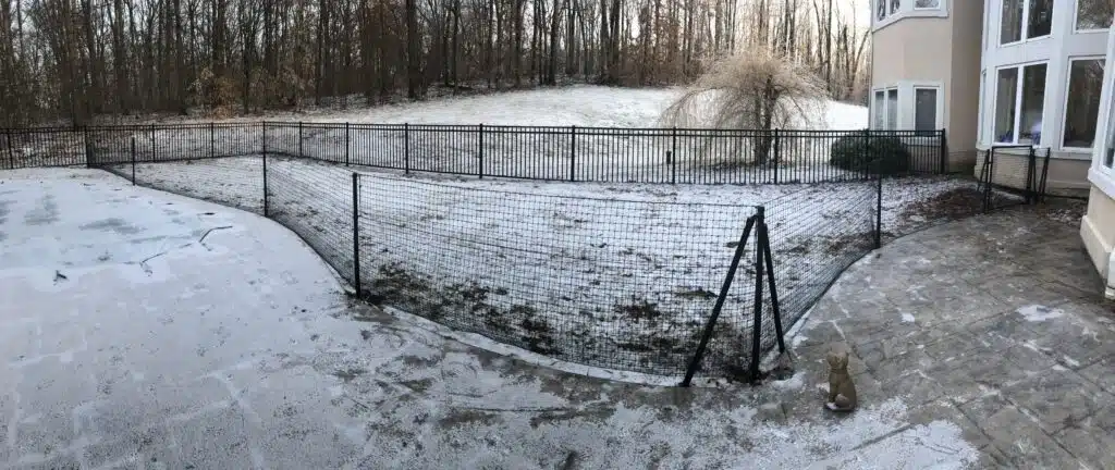 temporary dog fence for renters